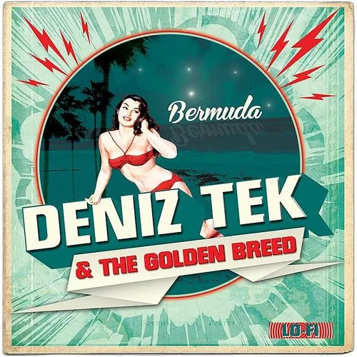 Deniz Tek - Bermuda vinyl record cover