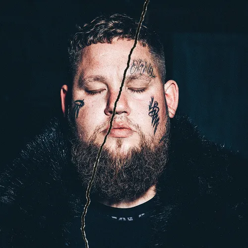 Rag ‘N’ Bone Man - Life By Misadventure vinyl record cover