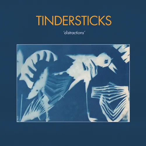 Tindersticks - Distractions vinyl record cover