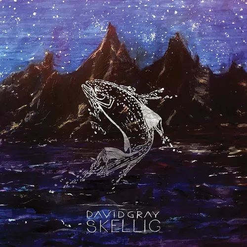 David Gray - Skellig vinyl record cover