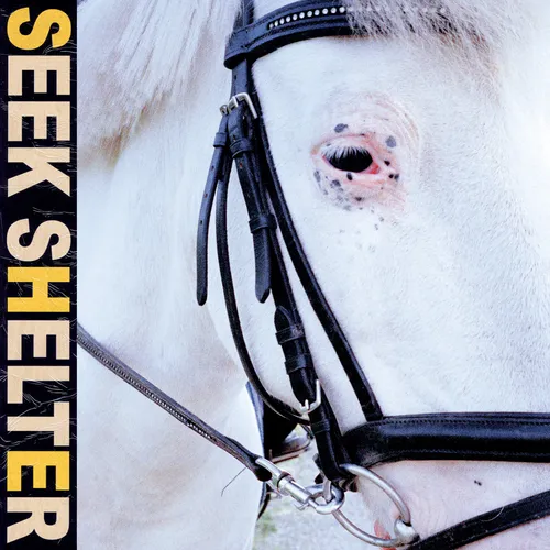Iceage - Seek Shelter vinyl record cover
