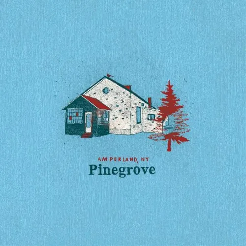 Pinegrove - Amperland Ny vinyl record cover