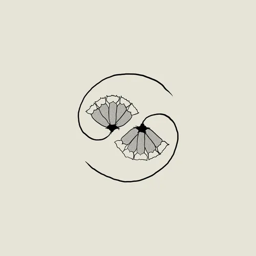Godspeed You! Black Emperor - G_D's Pee At State's End! vinyl record cover