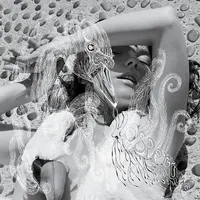 Vespertine Ltd Cd