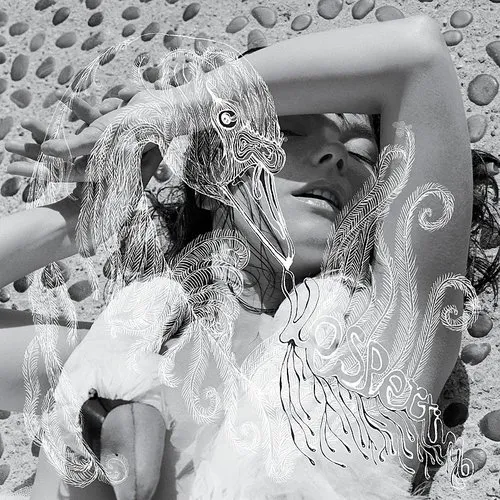 Bjork - Vespertine Ltd Cd vinyl record cover