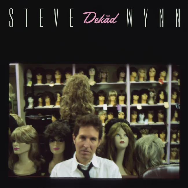 Steve Wynn - Dekād--Rare & Unreleased Recordings 1995-2005 vinyl record cover