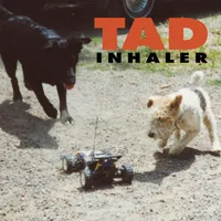 Inhaler (Hol)