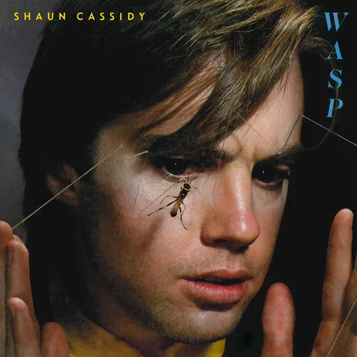 Shaun Cassidy - Wasp vinyl record cover
