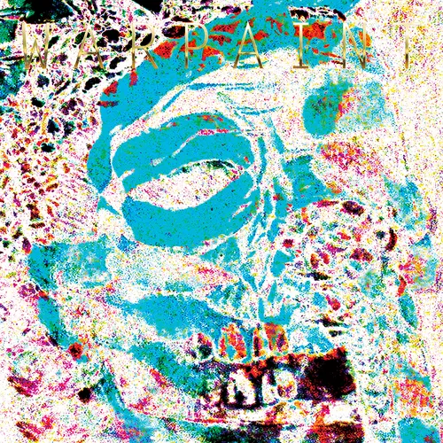 Warpaint - The Fool vinyl record cover