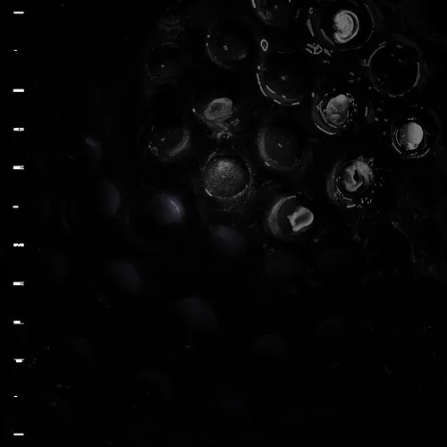 Crumb - Ice Melt vinyl record cover