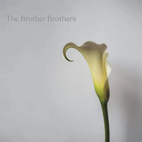 The Brother Brothers - Calla Lily vinyl record cover