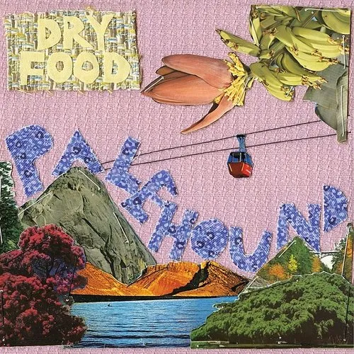 Palehound - Dry Food vinyl record cover