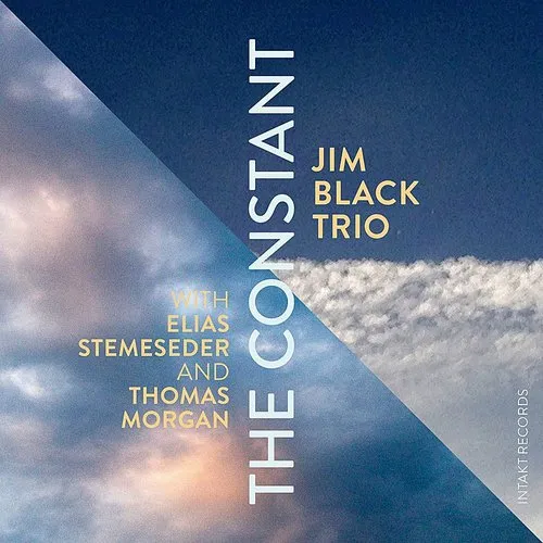 Jim Black - Constant vinyl record cover