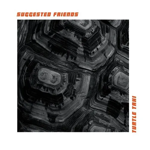 Suggested Friends - Turtle Taxi vinyl record cover