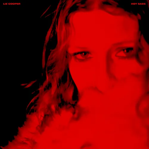 Liz Cooper - Hot Sass vinyl record cover