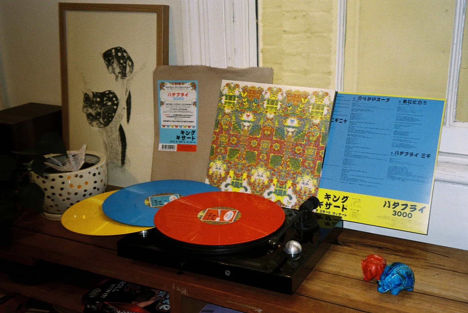 Butterfly 3000 (English Cover LP) by King Gizzard and the Lizard Wizard  (Record, 2021) for sale online