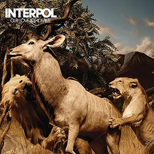 Interpol - Our Love To Admire vinyl record cover