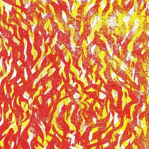 The Bug - Fire vinyl record cover