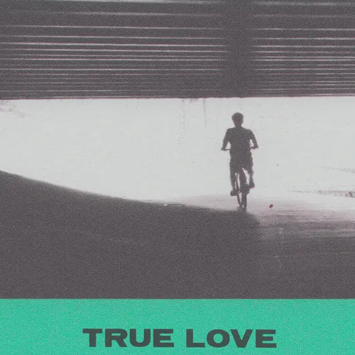 Hovvdy - True Love vinyl record cover