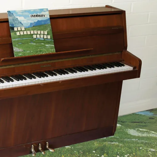 Grandaddy - The Sophtware Slump.....On A Wooden Piano vinyl record cover