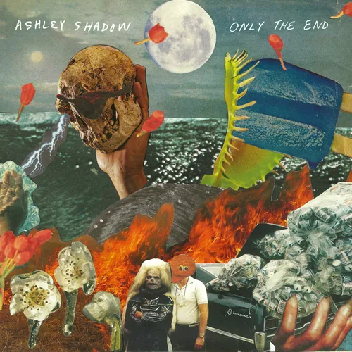 Ashley Shadow - Only The End vinyl record cover