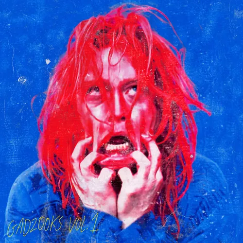 Caleb Landry Jones - Gadzooks Vol. 1 vinyl record cover