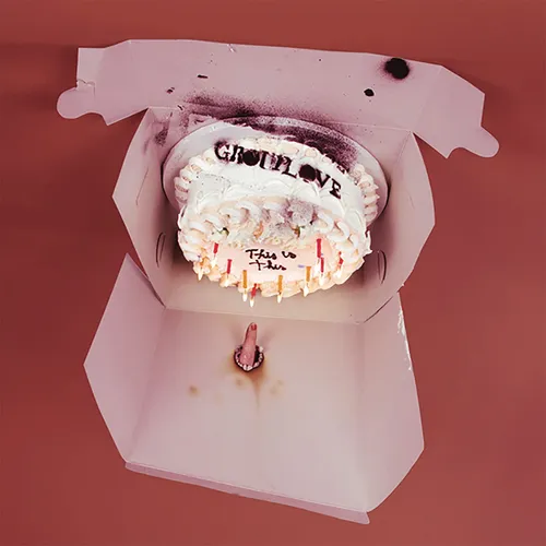Grouplove - This Is This vinyl record cover