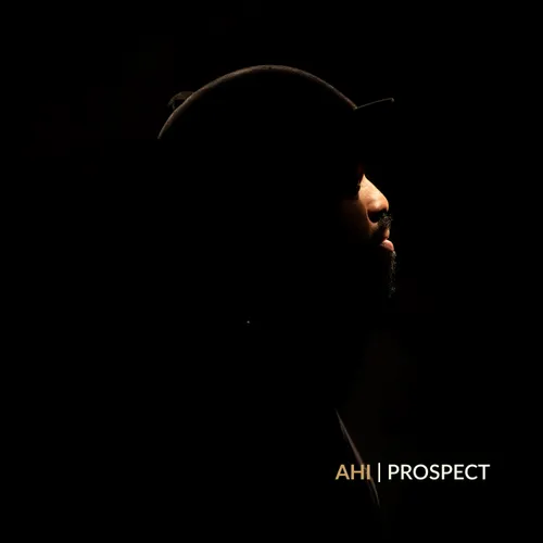 AHI - Prospect vinyl record cover