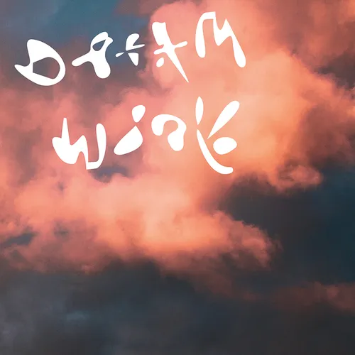 Dinner - Dream Work vinyl record cover