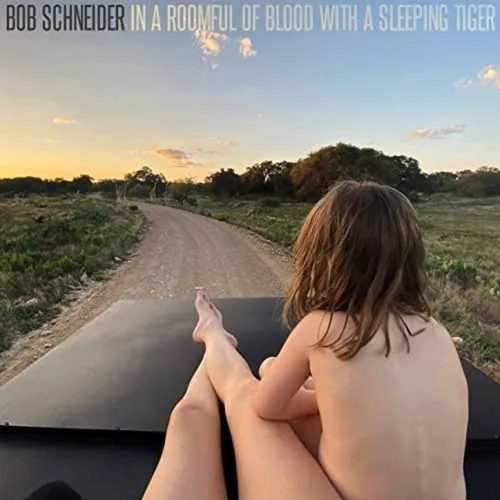 Bob Schneider - In a Roomful of Blood with a Sleeping Tiger vinyl record cover