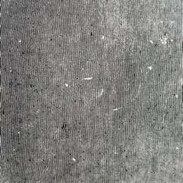 alt_text