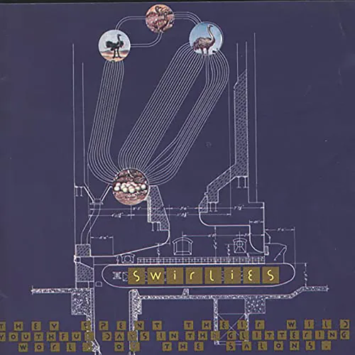 Swirlies - They Spent Their Wild Youthful Days In The Glittering World Of The Salons vinyl record cover