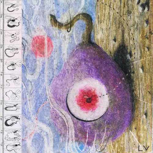 Lunar Vacation - Inside Every Fig is a Dead Wasp vinyl record cover