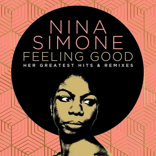 Nina Simone - Feeling Good: Her Greatest Hits & Remixes vinyl record cover