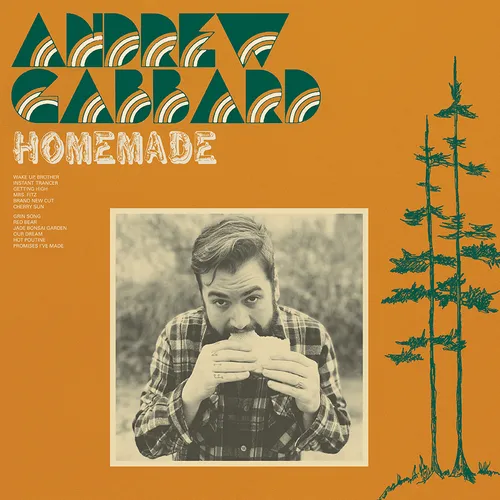 Andrew Gabbard - Homemade vinyl record cover
