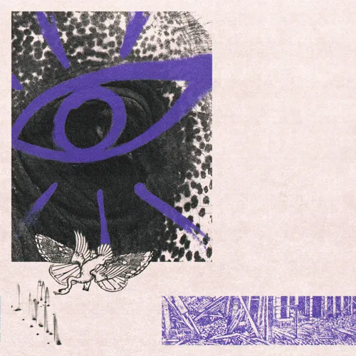 Hippo Campus - LP3 vinyl record cover