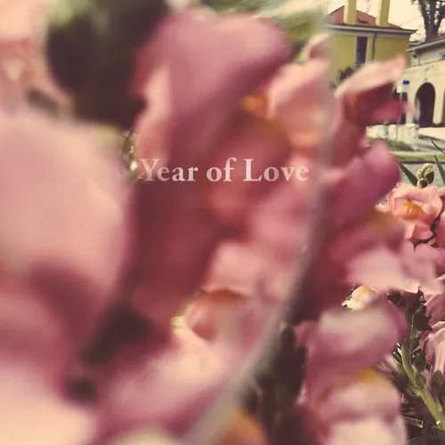 Beta Radio - Year Of Love vinyl record cover
