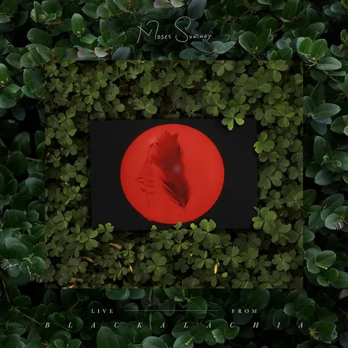 Moses Sumney - Live From Blackalachia vinyl record cover
