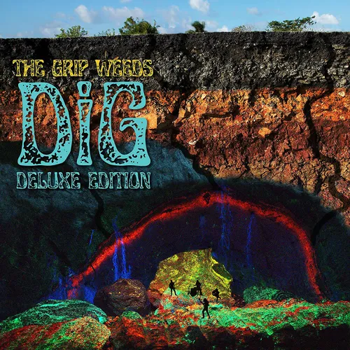 The Grip Weeds - DiG vinyl record cover