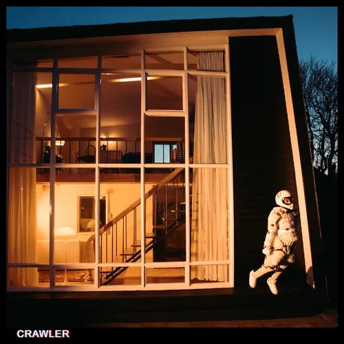 IDLES - Crawler vinyl record cover