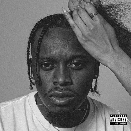 Blxst - No Love Lost vinyl record cover