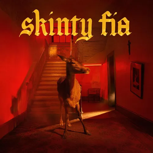 Fontaines D.C. - Skinty Fia vinyl record cover