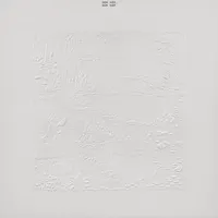 Bon Iver: 10th Anniversary Edition