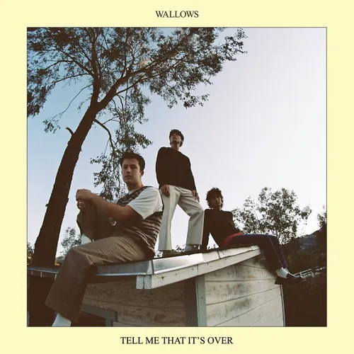 Wallows - Tell Me That It’s Over vinyl record cover