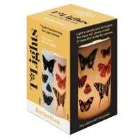 Butterflies Transforming