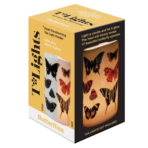 Artist - Butterflies Transforming vinyl record cover