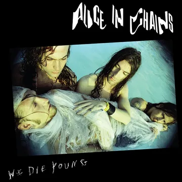 Alice in Chains We Die Young ヴィンテージ バンドＴ Alice in Chains We Die Young ヴィンテージ バンドT