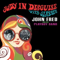 Judy In Disguise