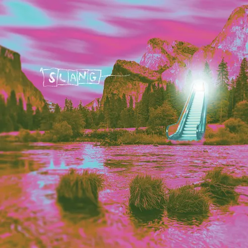Slang - RSD 2022 7 vinyl record cover