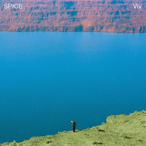 Spice - Viv vinyl record cover